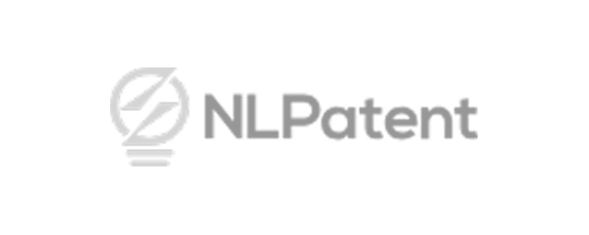 NLPatent