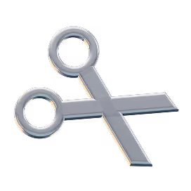 Tailor-Made Customization